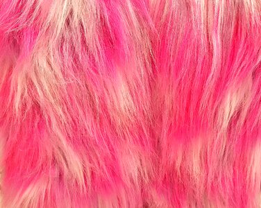 Hair style costume