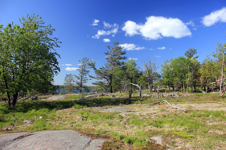National park nature landscape