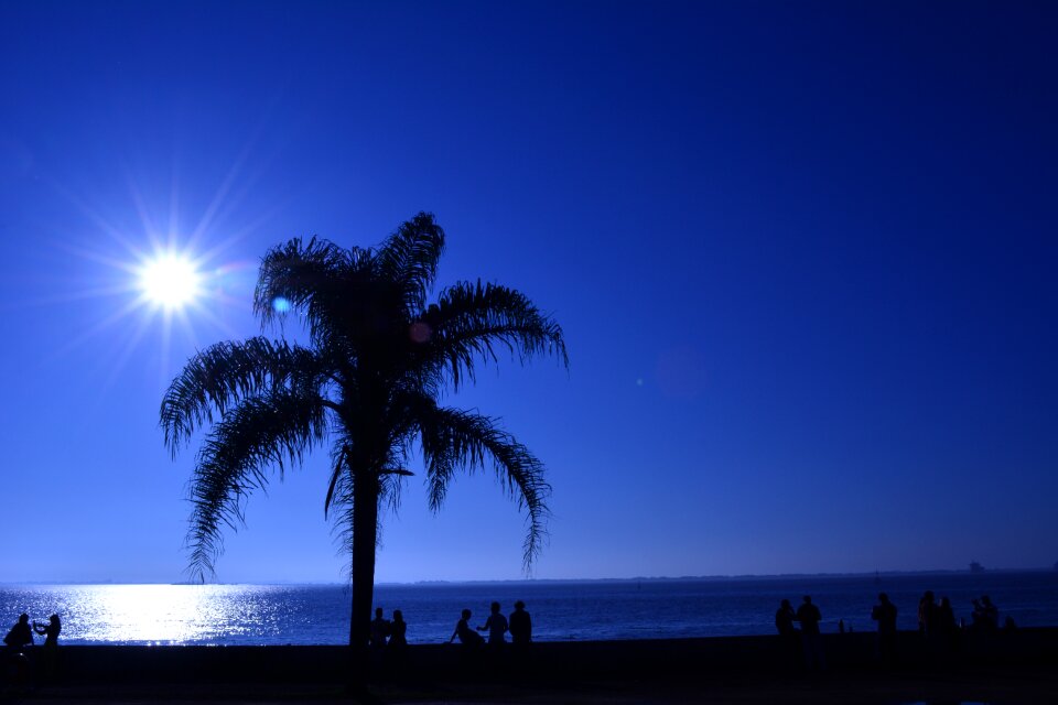 Eventide against light horizon
