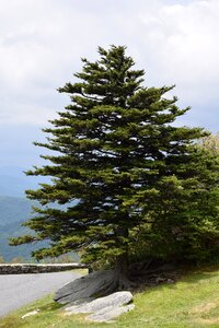Nature mountains park