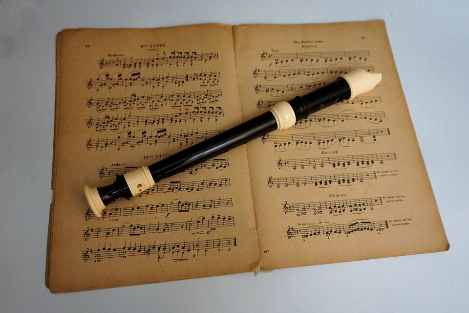 Musical instrument flute artist