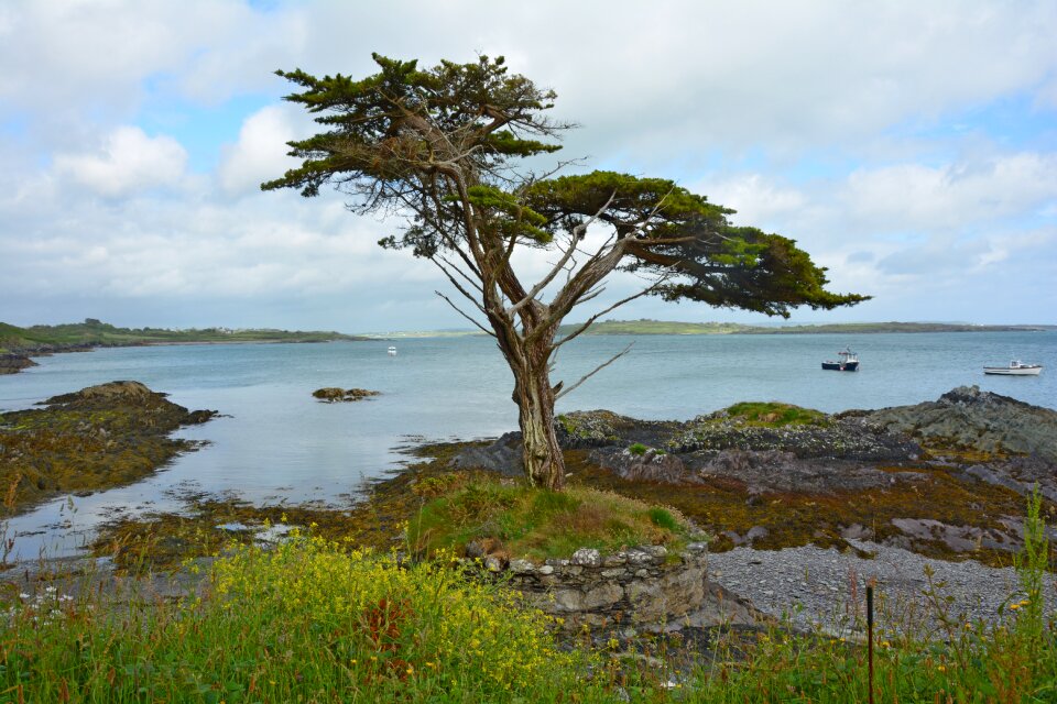 Bay landscape water