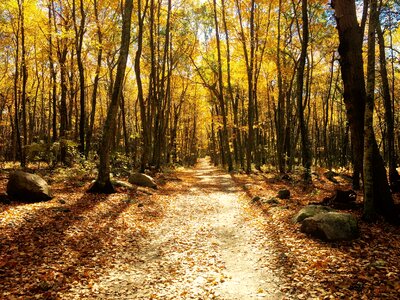 Nature adventure backpacker