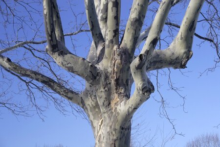 Flushing meadow park new york city queens photo