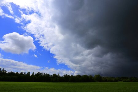 Russia leningrad region living nature