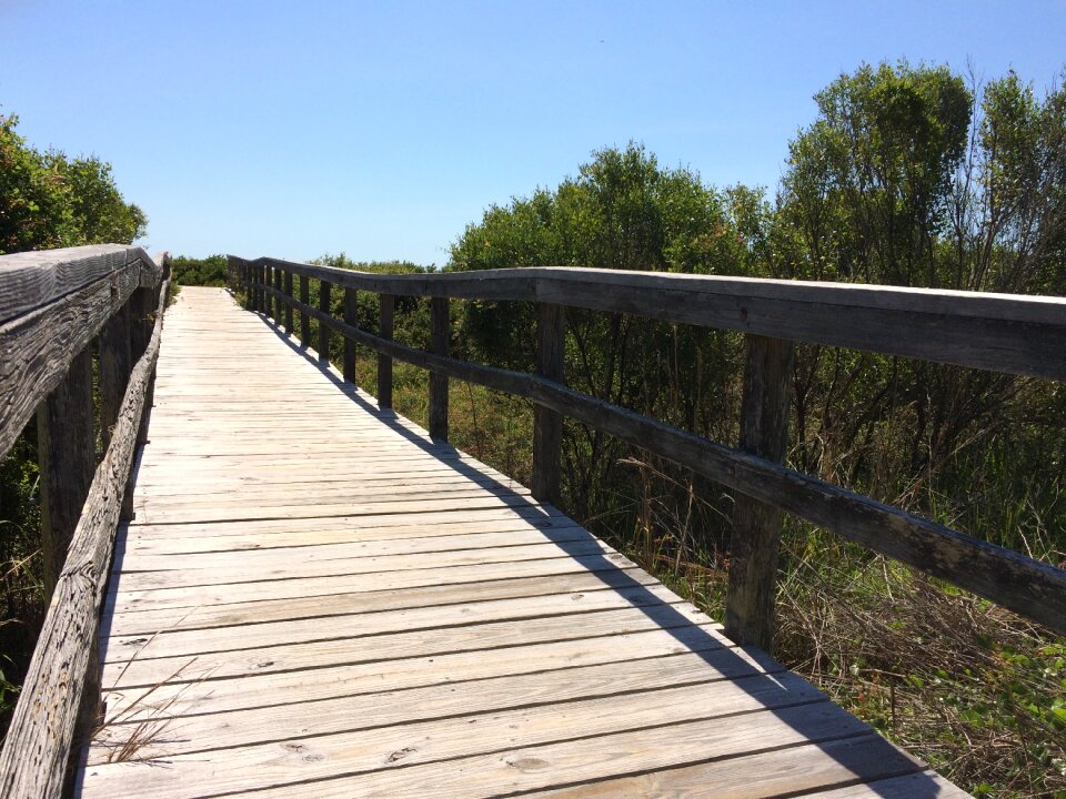 Summer trail walkway photo