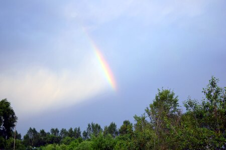 Colorful dark cloud trees