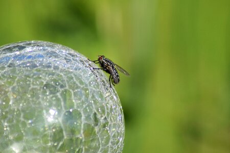 Shiny circle crystal photo