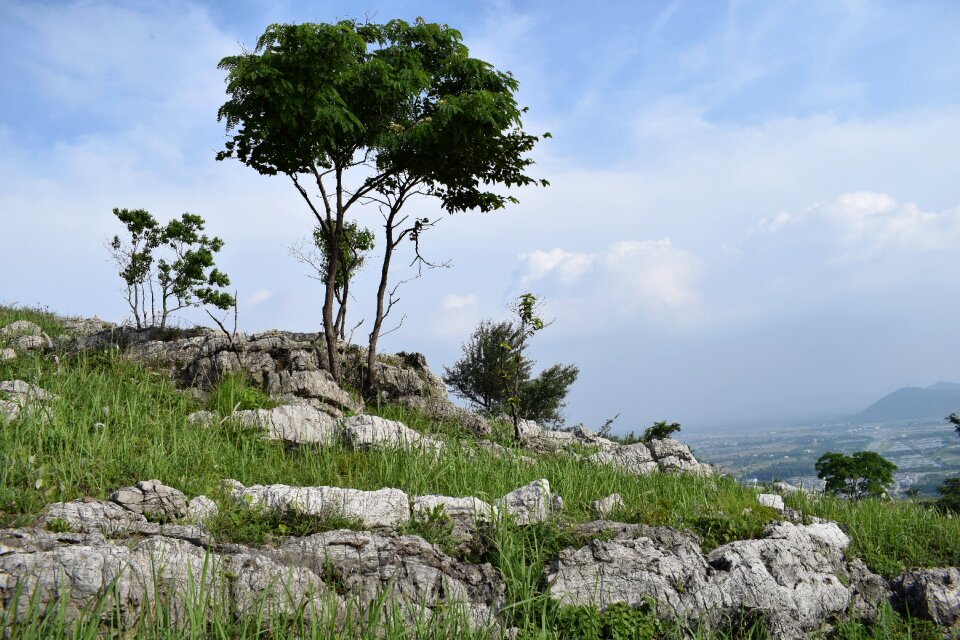 Tangshan chaohu the scenery