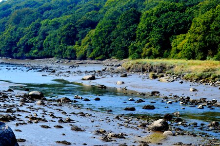 Shore water field photo