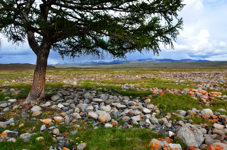 Desert landscape stones