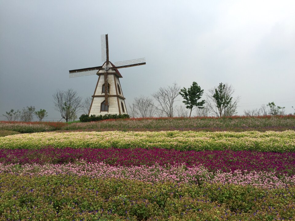 Wedding photography scene windmill flowers