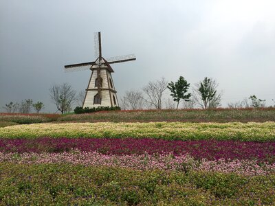 Wedding photography scene windmill flowers