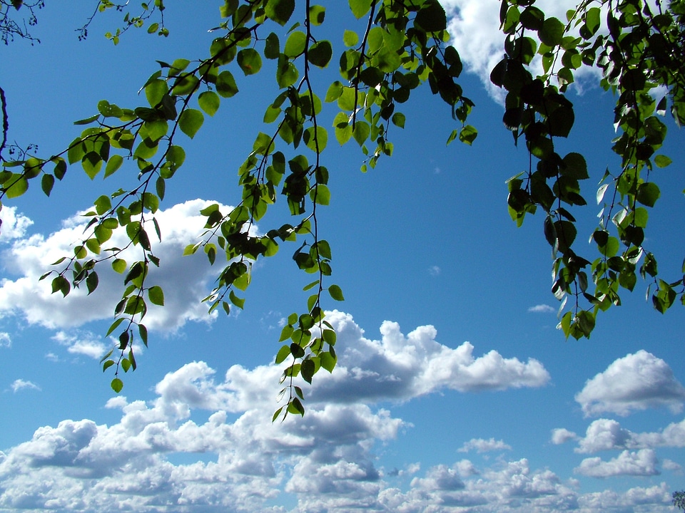 Clouds blue blue sky