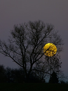 Evening twilight moonlight