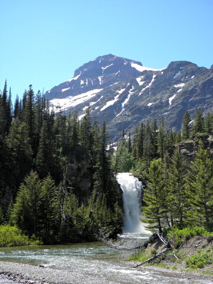 Nature forest river