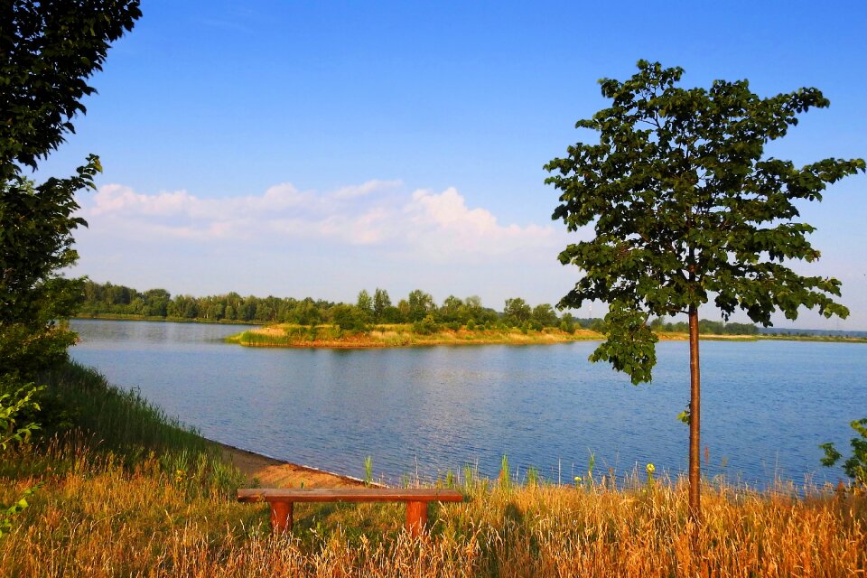 Bank lakeside nature