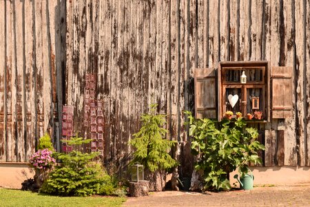 Rural garden decoration still life photo