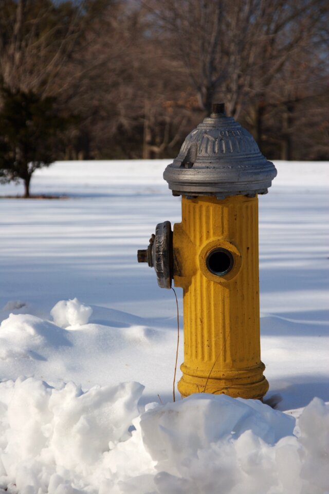 Hydrant yellow