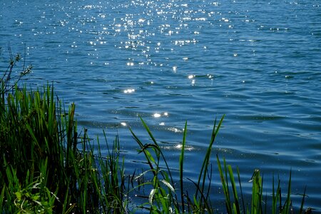 Backlighting lake view bank photo