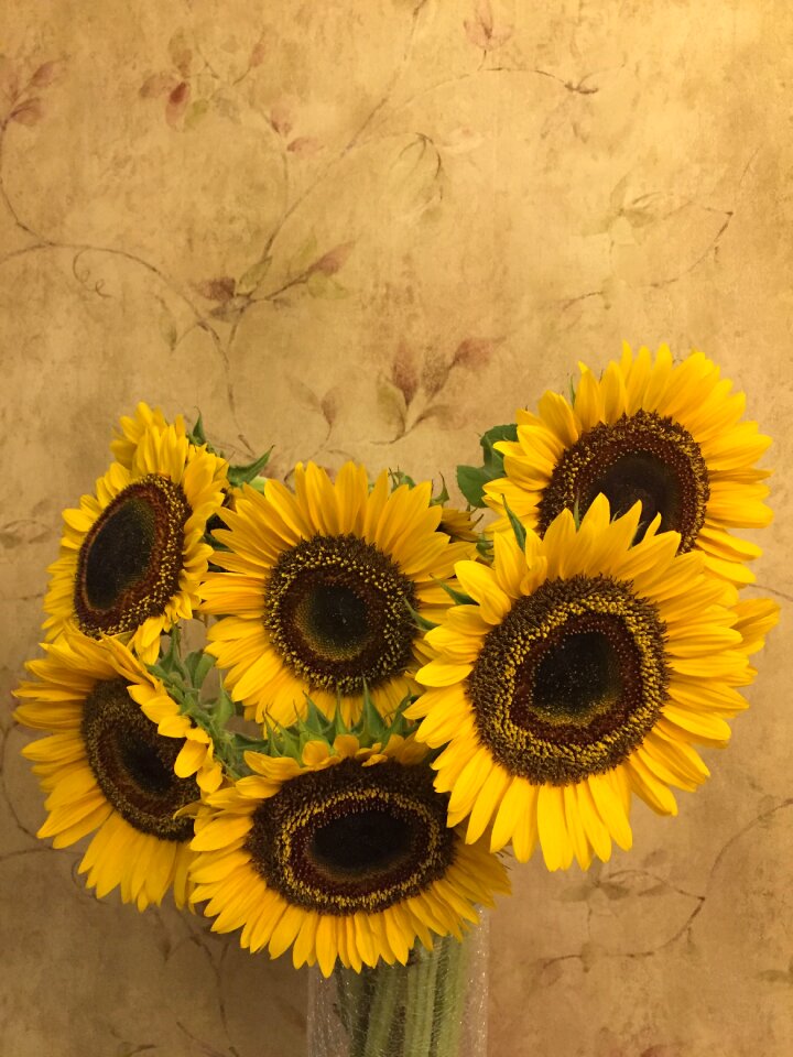 Plant vase bouquet