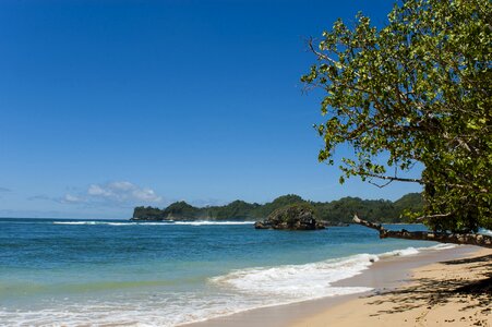 Tropical tropical beach island photo