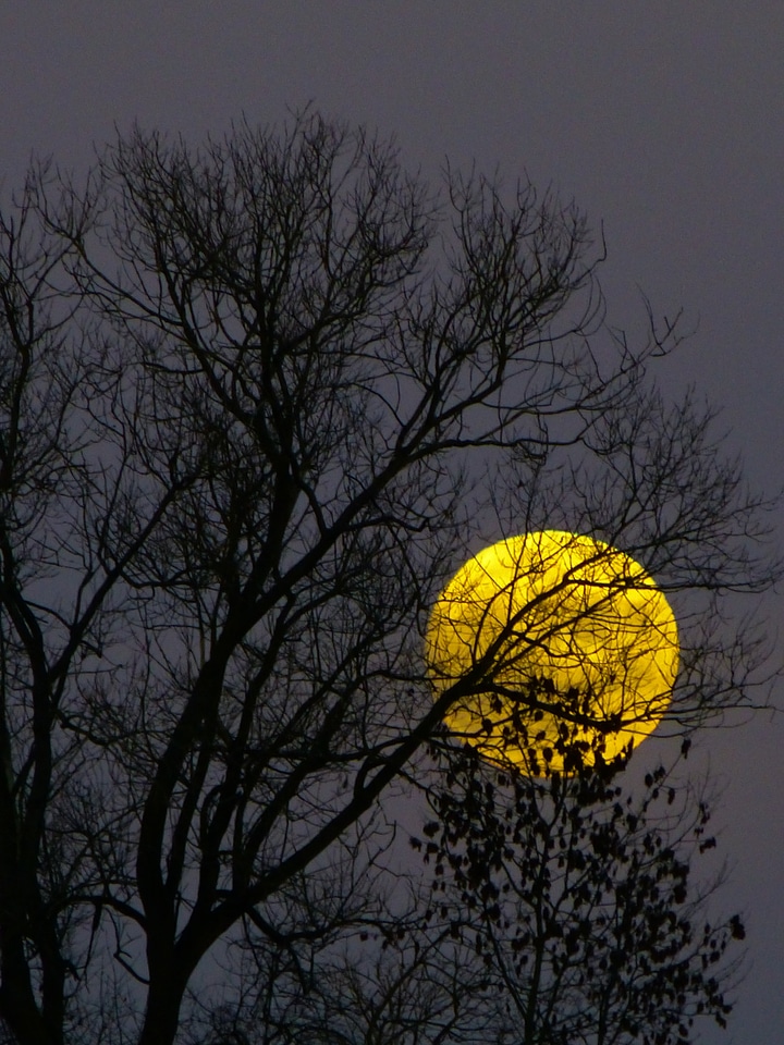 Evening twilight moonlight photo