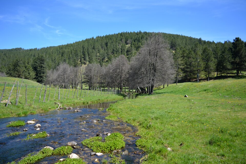 Sila spring river