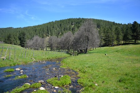 Sila spring river photo
