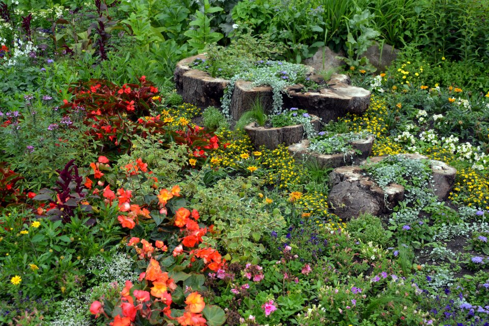 Gartendeko flora plant