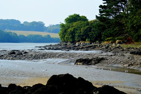 Shore water field