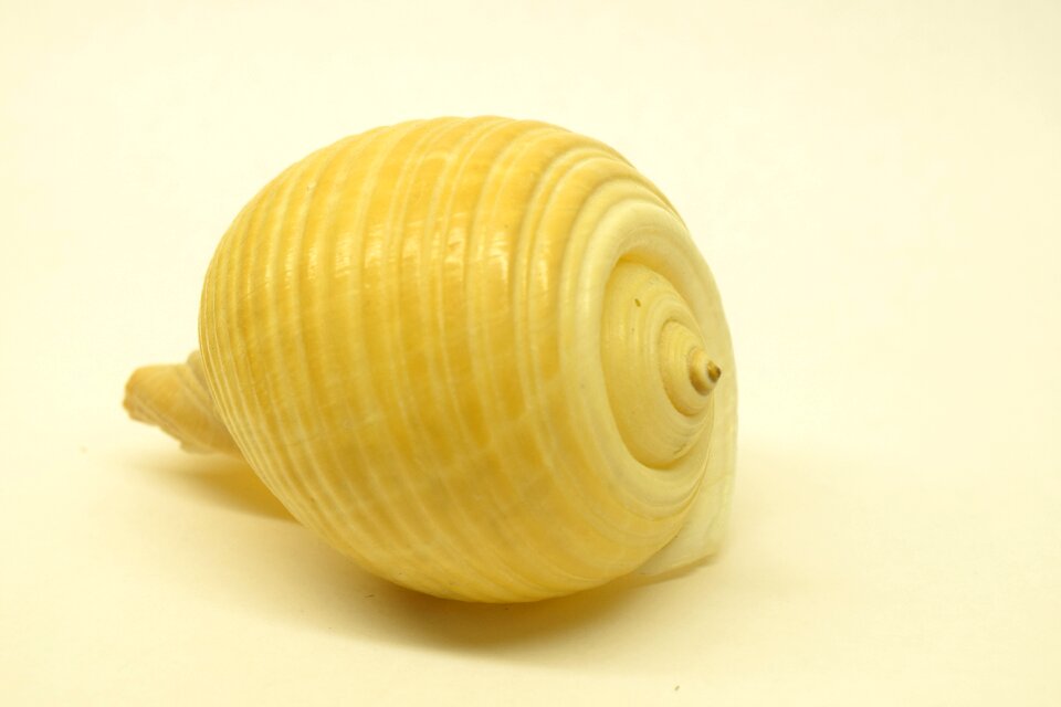 Close up spiral infinite