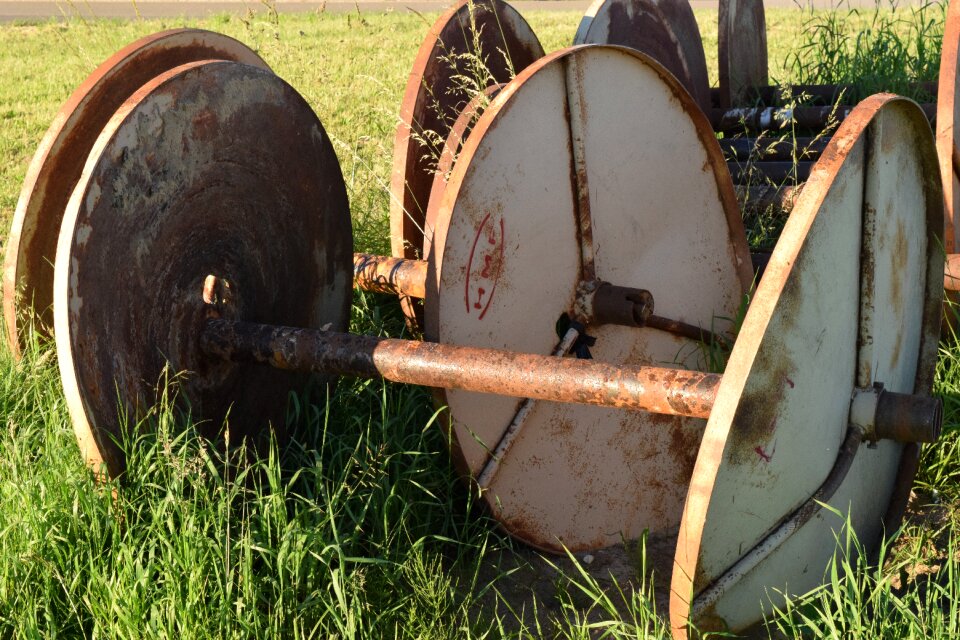 Agriculture summer out of date