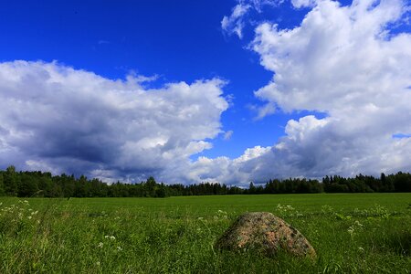 Russia leningrad region living nature