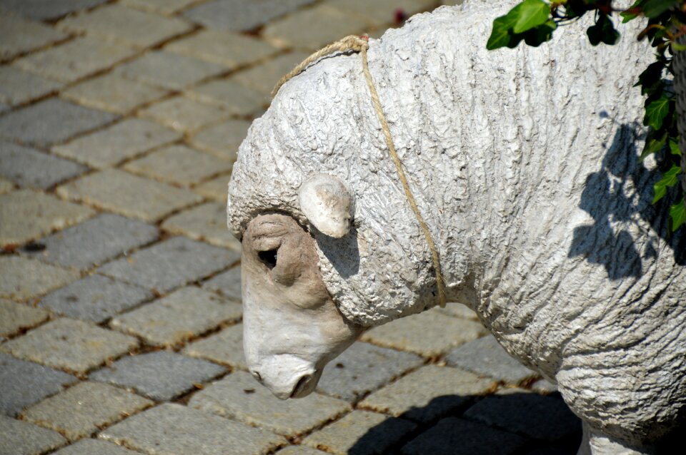 Gypsum head animal