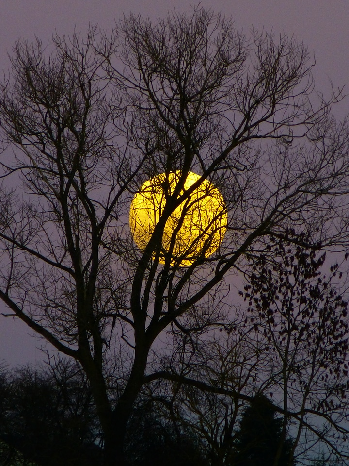 Evening twilight moonlight