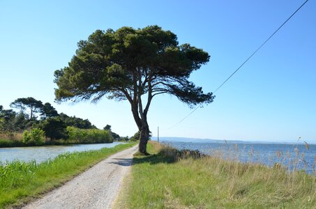 Channel south of france etang de bages