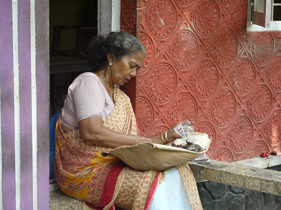 India kerala cochin