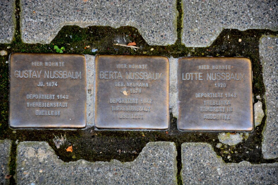 Jews mass murders holocaust