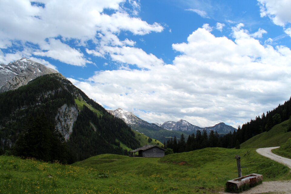 Mountain meadow alm mountains