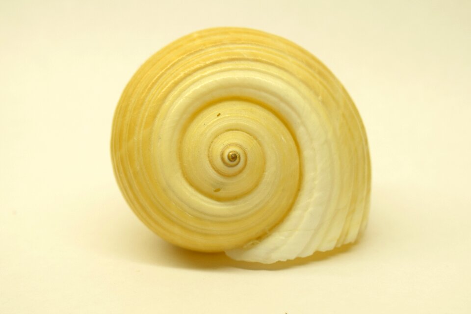 Close up spiral infinite