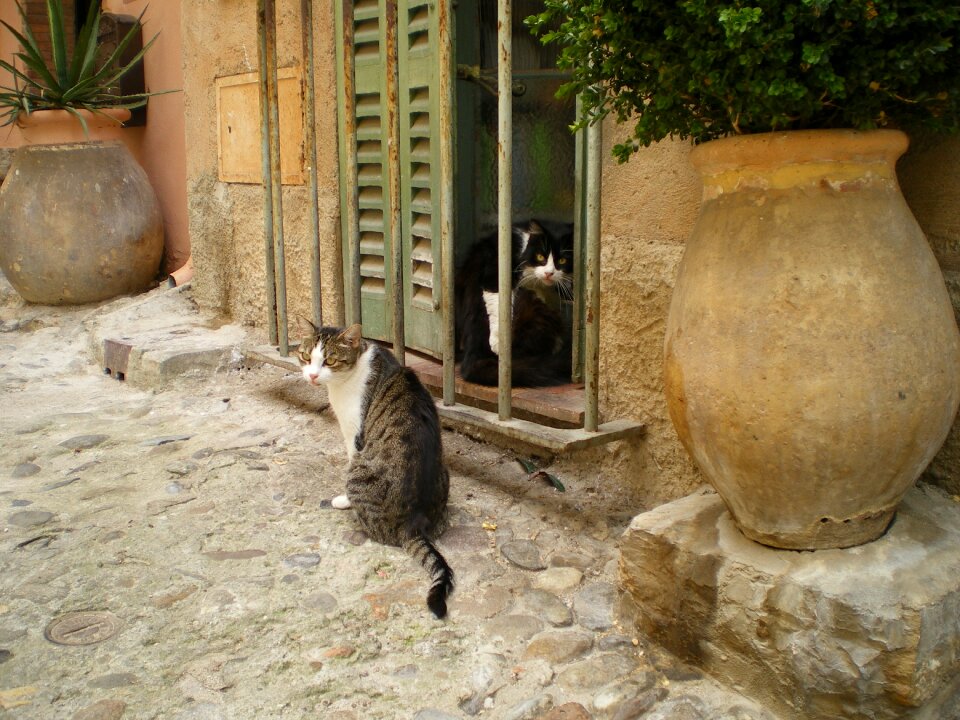 South of france summer paved street