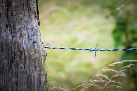 Fence post wire pasture photo