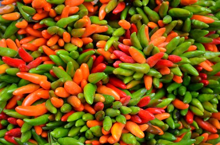 Italy taste food