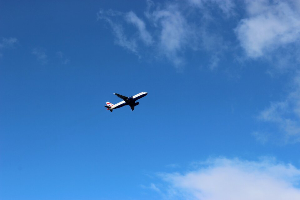 Blue flyer vacations