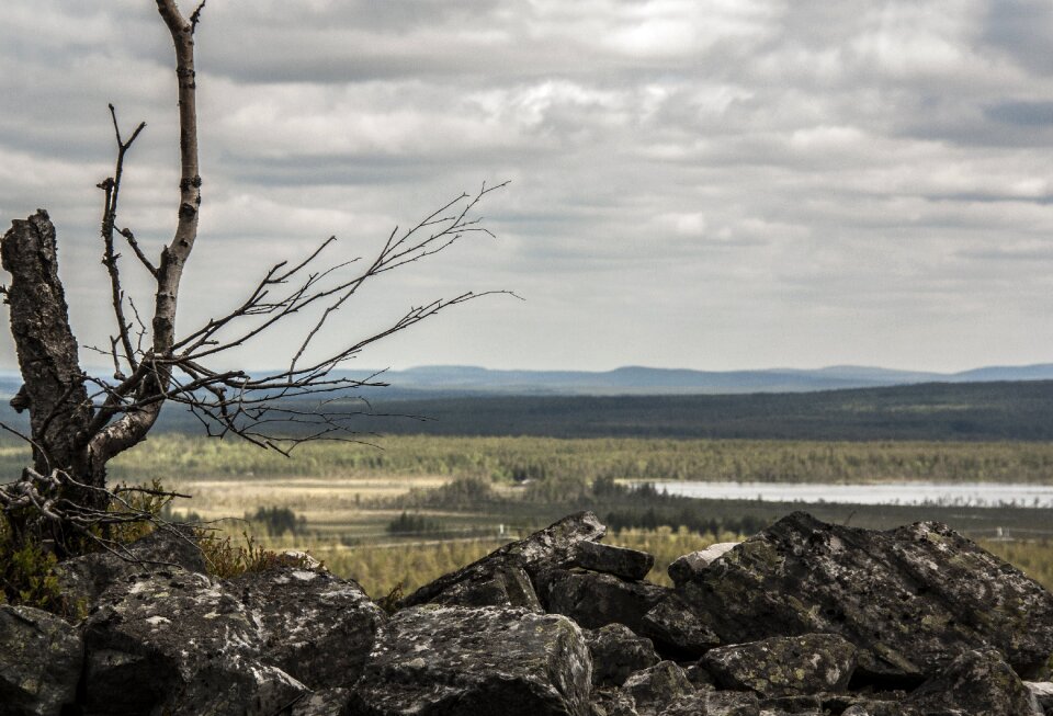 Landscape nature lapland