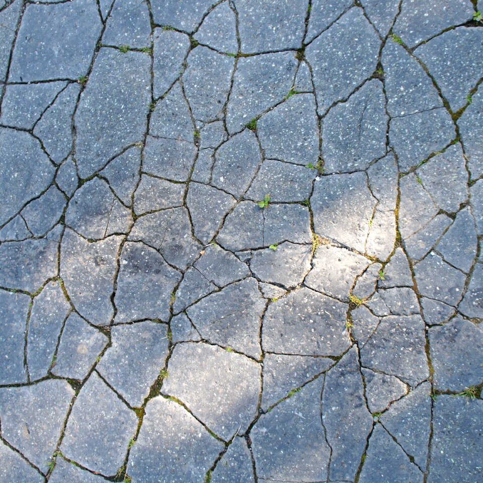 Fissures asphalt surface