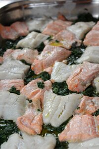 Hot buffet buffet salmon