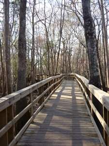 Wooden gray path photo