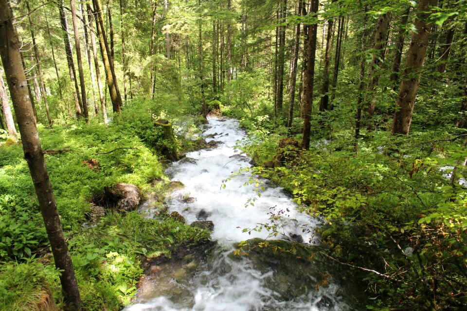 Landscape bach berchtesgaden